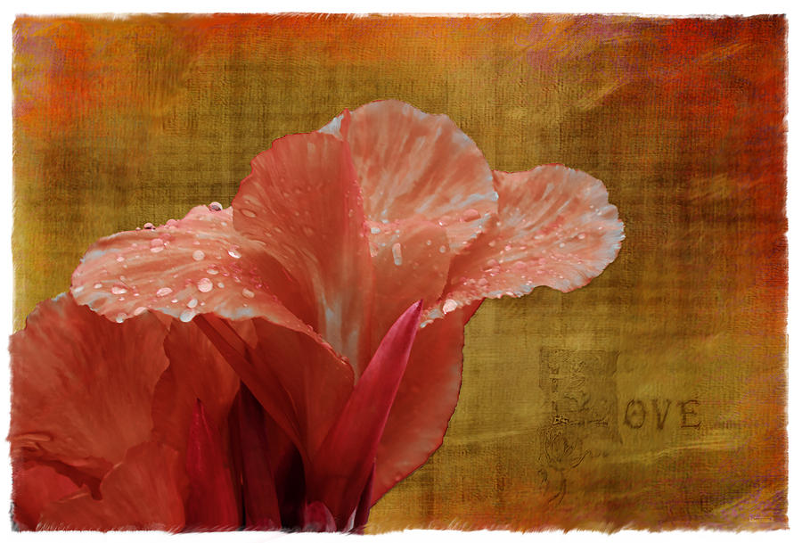 Rainy Gladiolus Digital Art by AGeekonaBike Photography