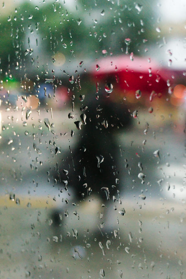 Rainy Morning Photograph by Osvaldo Hamer