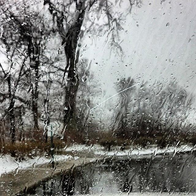 Rainy Scene Photograph by Marianne Dow