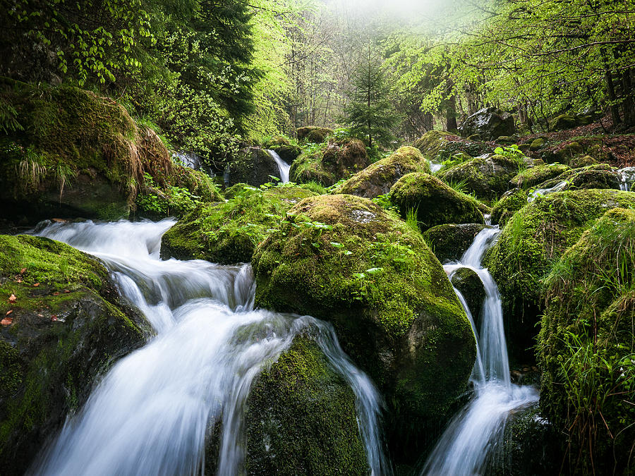 Waterfall Photograph - Rainy Season by Andreas Wonisch