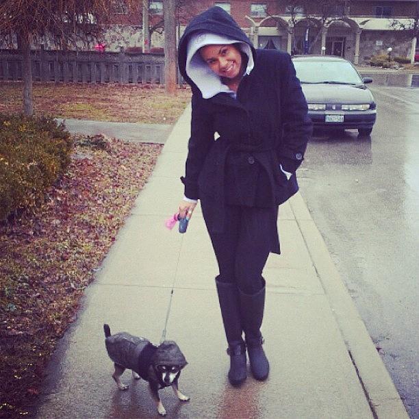 Rainy Walk For The Chis ❤🐶🌂☔ Photograph by Cherry Sundae