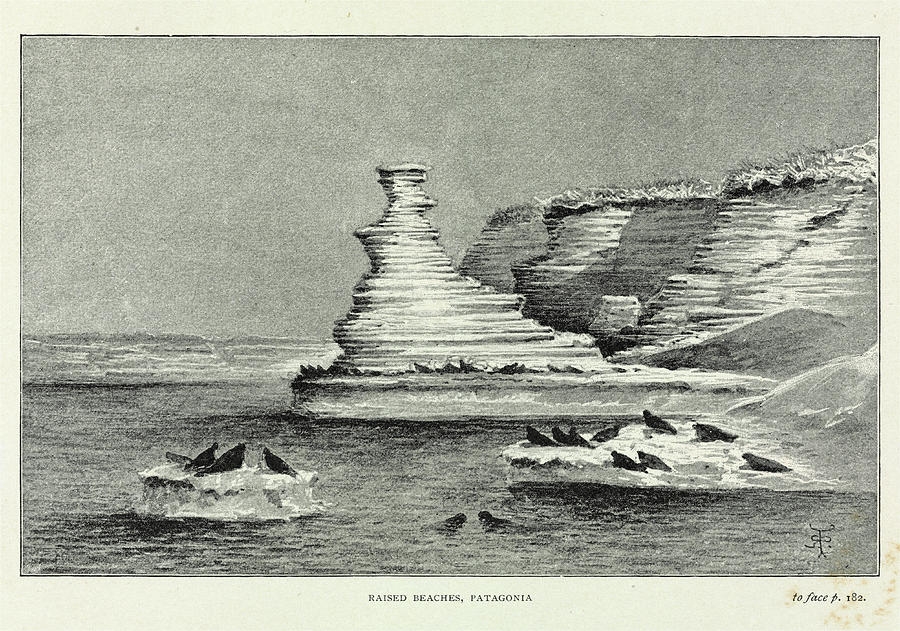 Raised Beaches Photograph by Natural History Museum, London/science Photo Library