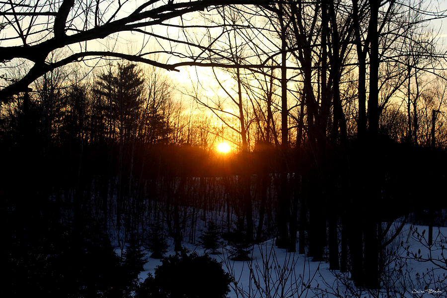 Winter Photograph - Raising Sun by Julien Boutin