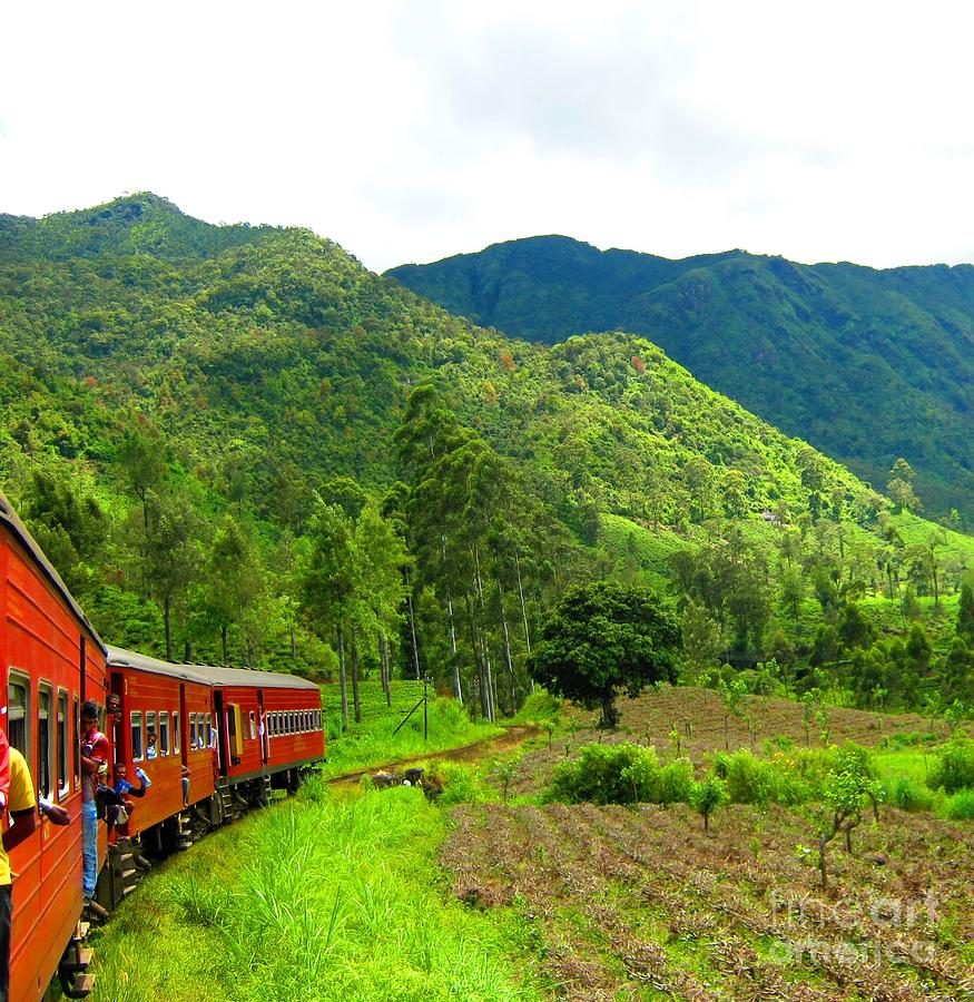 Transportation Photograph - Rajadhani Train Lanka-Trip by Surendra Silva