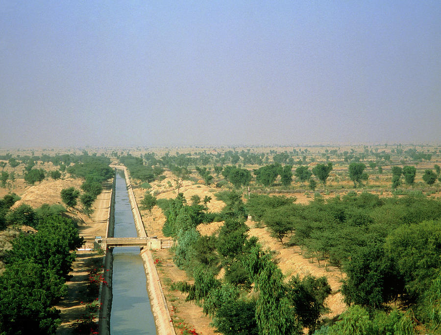 Rajasthan Canal Photograph by Simon Fraser/science Photo Library