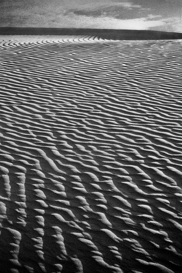Rajasthan Sand Dune Photograph by Neil Pankler