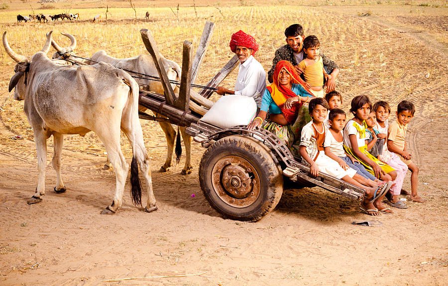 Rajasthani Rural Family enjoying a Bullock Cart Ride in Rajasthan Photograph by VikramRaghuvanshi