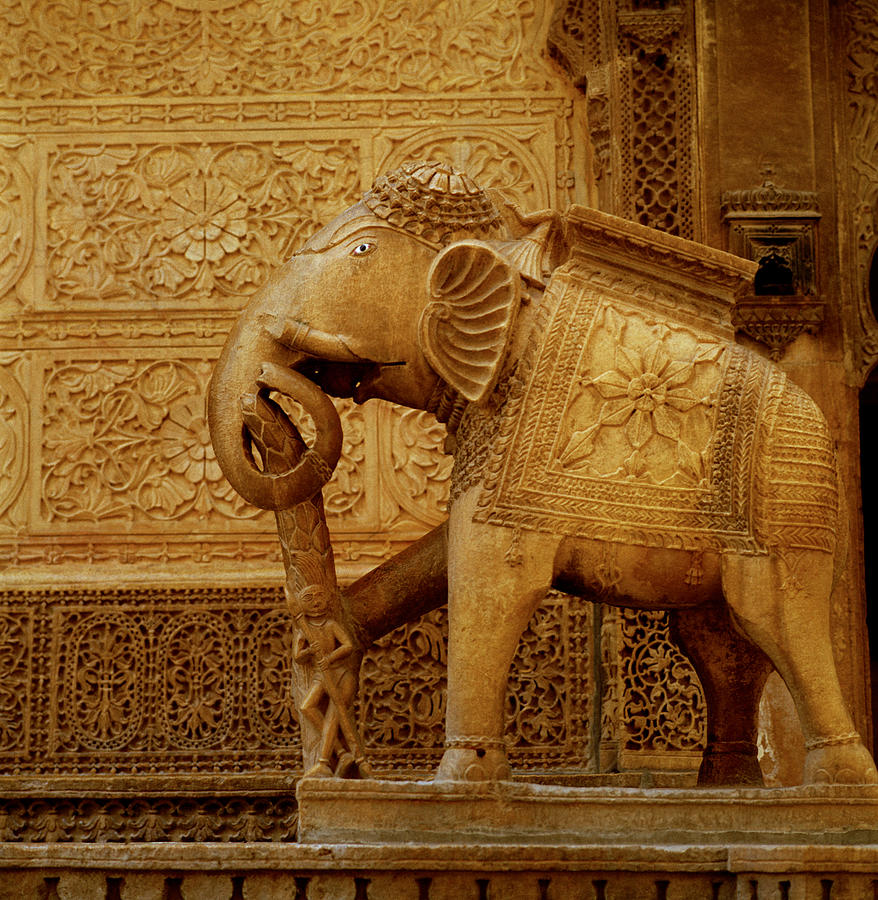 The Elephant Of Rajasthan India Photograph by Shaun Higson