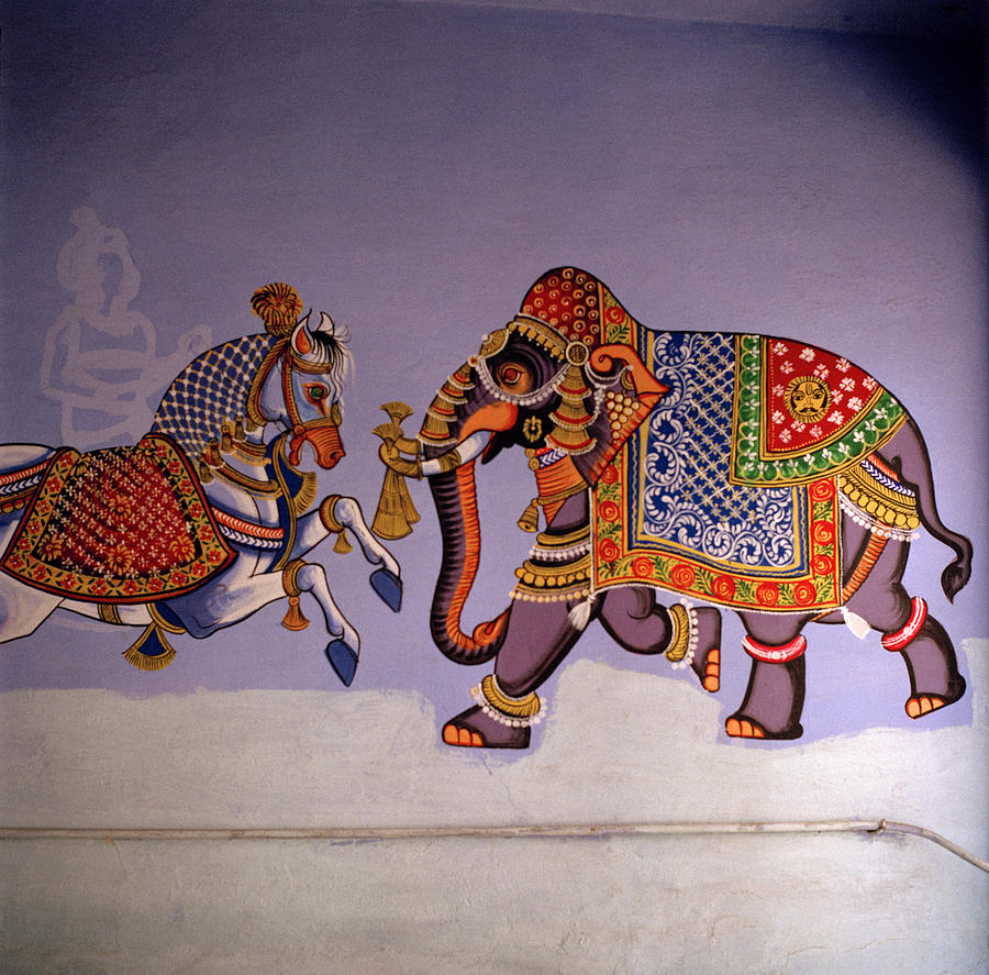 The Horse And The Elephant In India Photograph by Shaun Higson