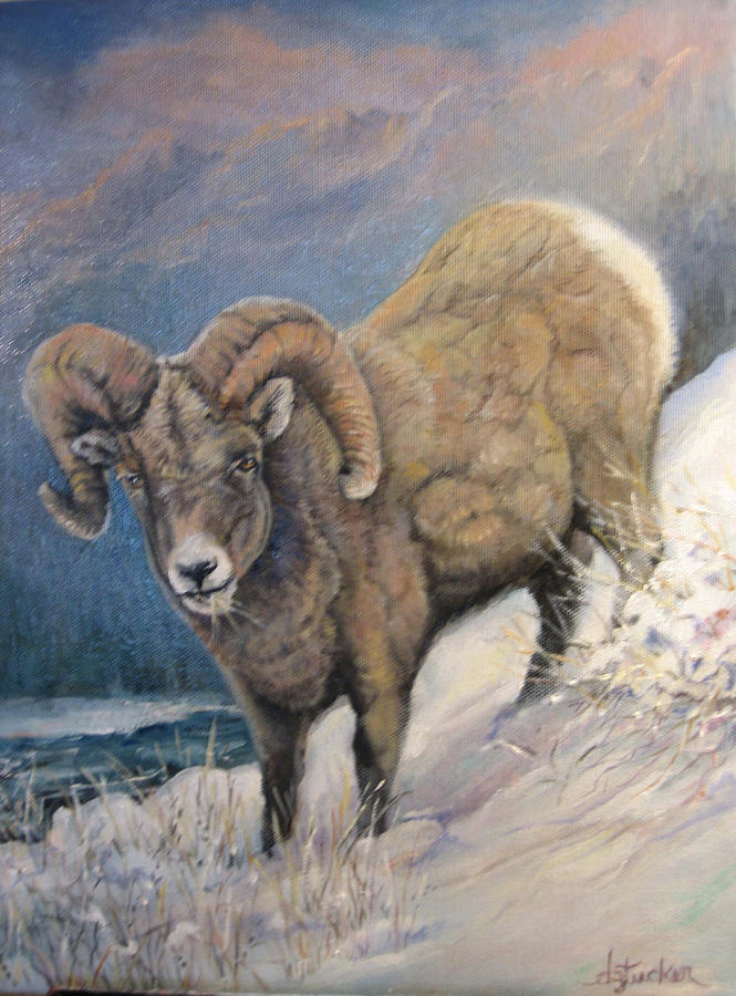 Ram in the Snow Painting by Donna Tucker