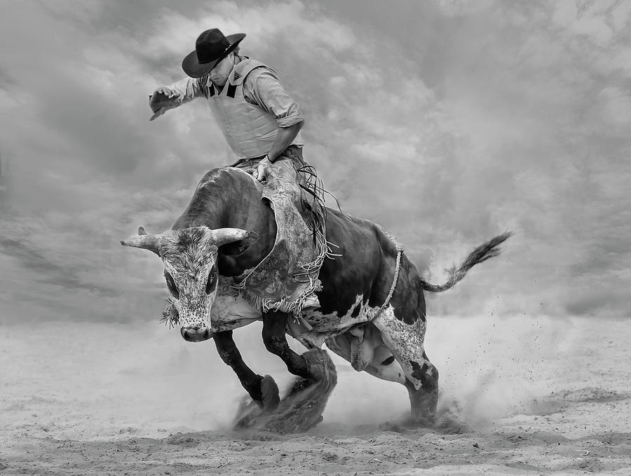 Daredevil Photograph - Ram Rodeo by Yun Wang
