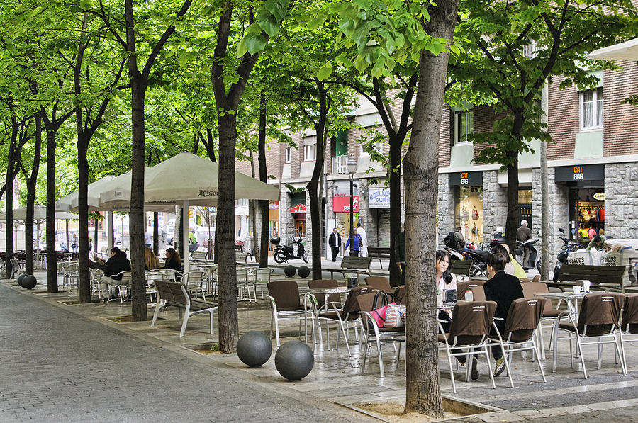 Ramblas Cafes under the Trees Photograph by Betty Eich