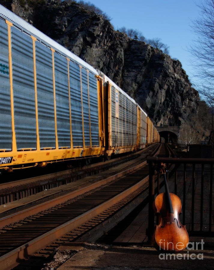 Trains Photograph - Rambling Rose by Steven Digman Trains Photograph - Rambling Rose by Steven Digman