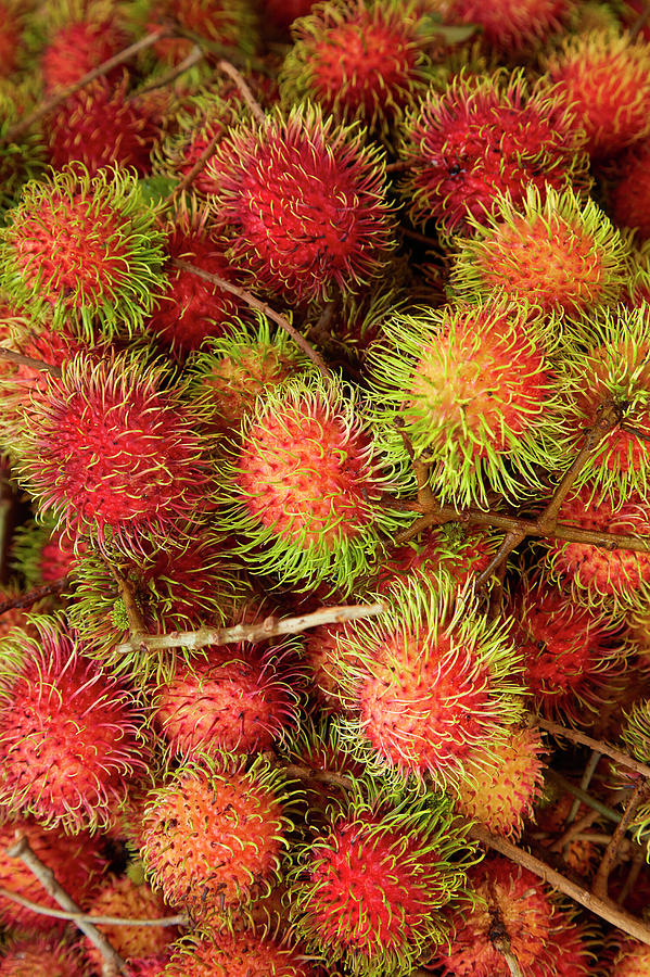 Fruit Photograph - Rambutan Fruit At Can Duoc Market, Long by David Wall