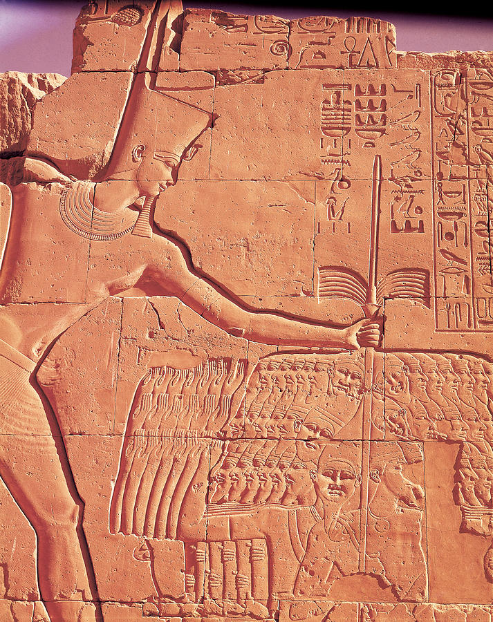 Ramesses II Photograph by Brian Brake