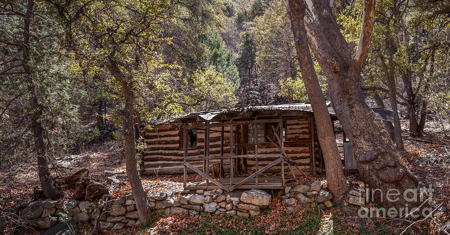 Ramsey Canyon Log Cabin 2 Photograph by Al Andersen