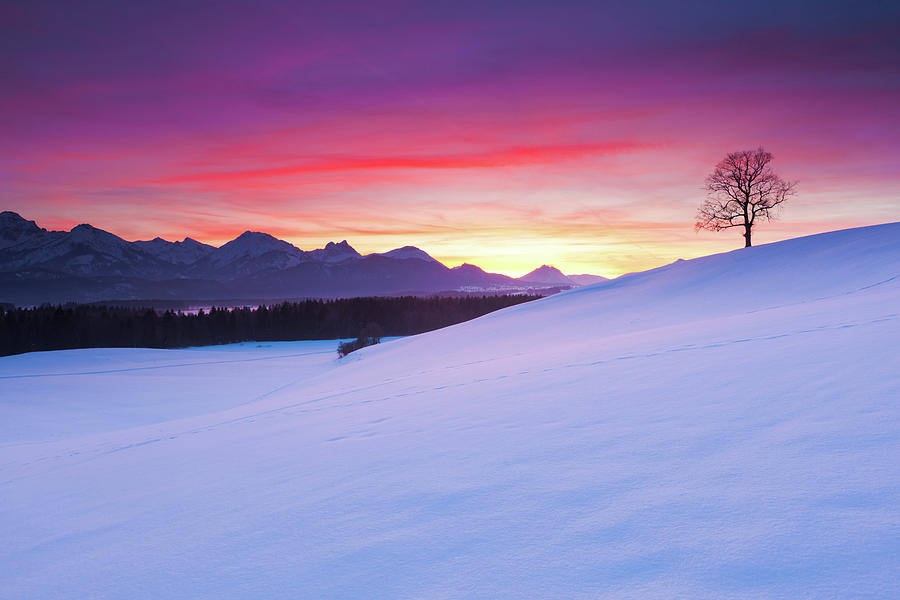 Ramtic Sunset In Bavaria, Germany Photograph by Ingmar Wesemann