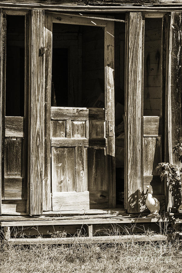 Ranch Cabin Old Door In Sepia 3007.01 Photograph by M K Miller