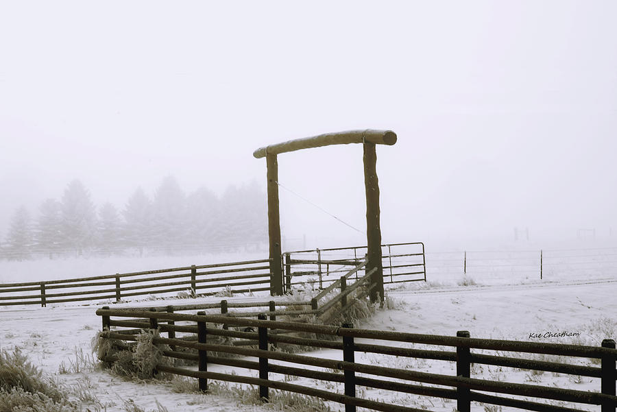 Ranch Gate in Foggy Snow Photograph by Kae Cheatham