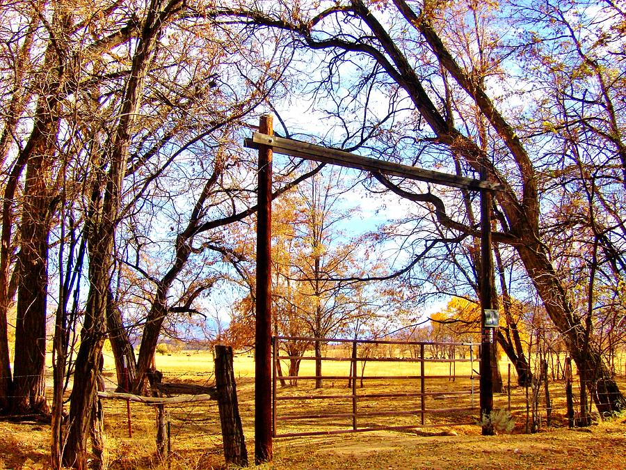 Ranch Gate Photograph by Marilyn Diaz - Pixels