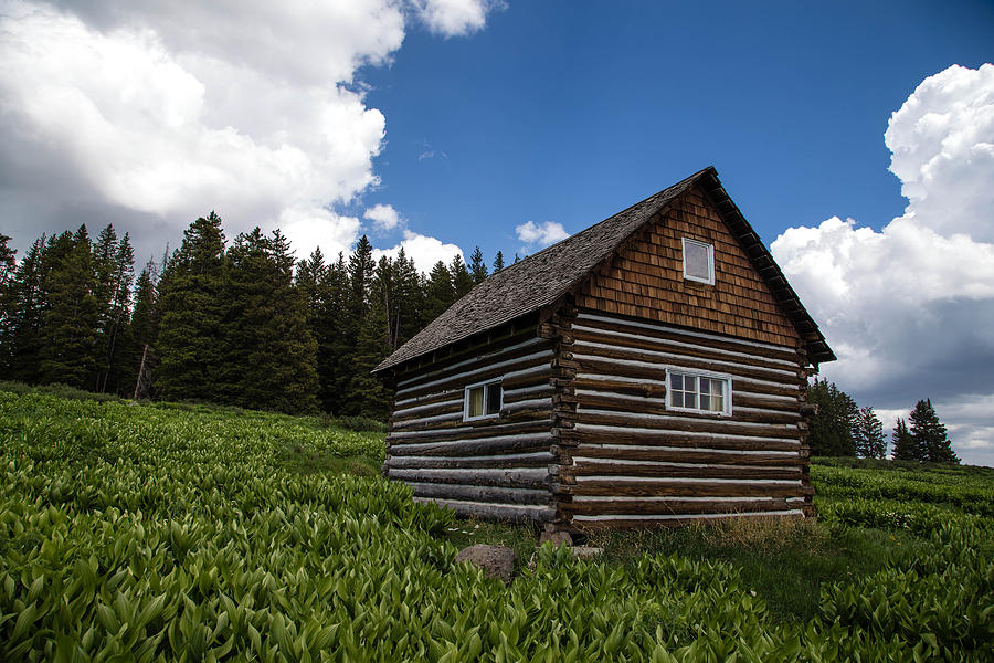 Ranch Hand Cabin Photograph By Angela Wetzel - Fine Art America