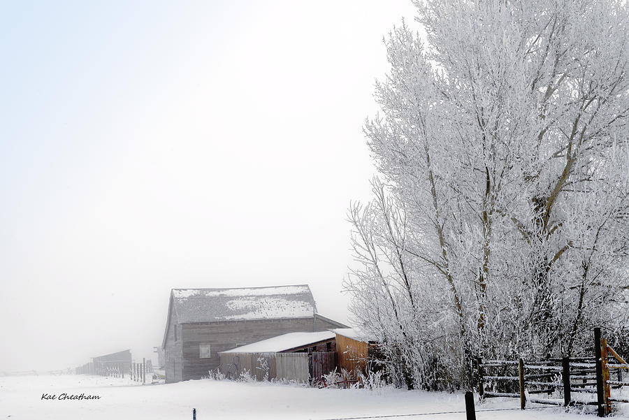 Ranch in Frozen Fog Photograph by Kae Cheatham