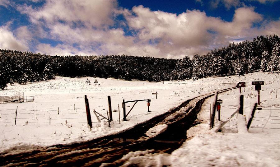 Ranch Road near Taos New Mexico Photograph by Antonia Citrino
