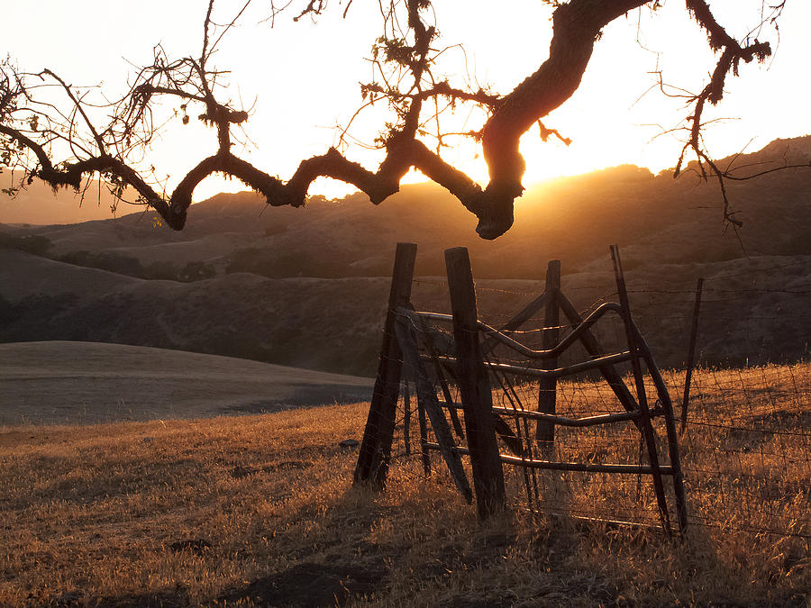 Ranch Sunset Photograph by Derek Dean