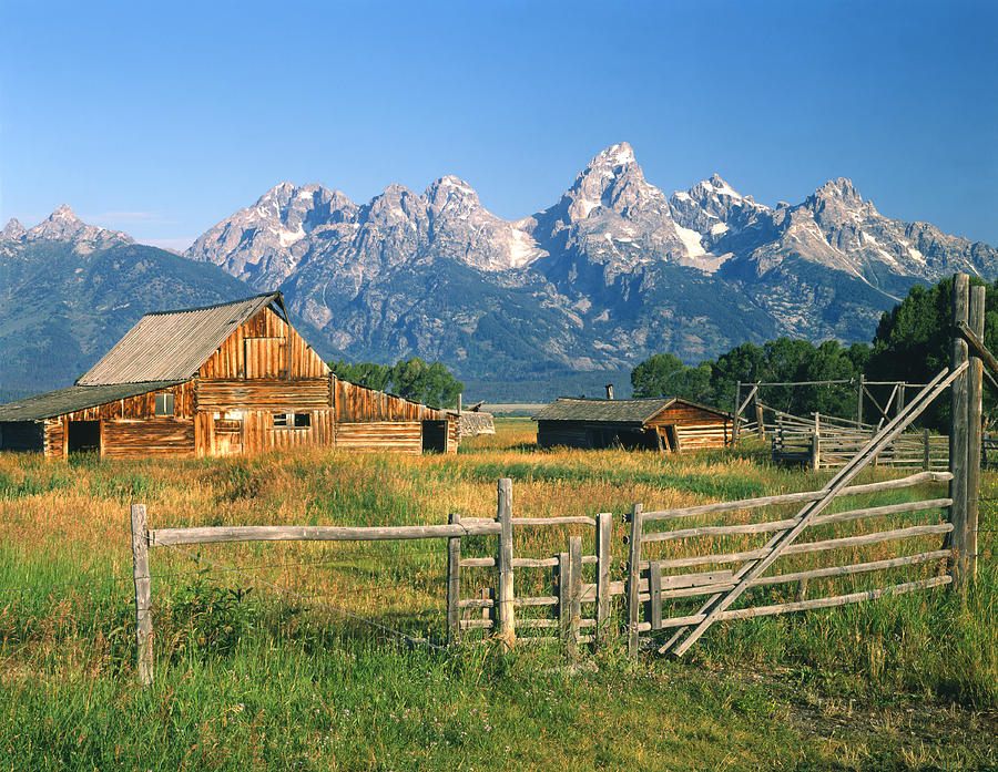 1M9392-Ranchland and the Tetons Photograph by Ed  Cooper Photography