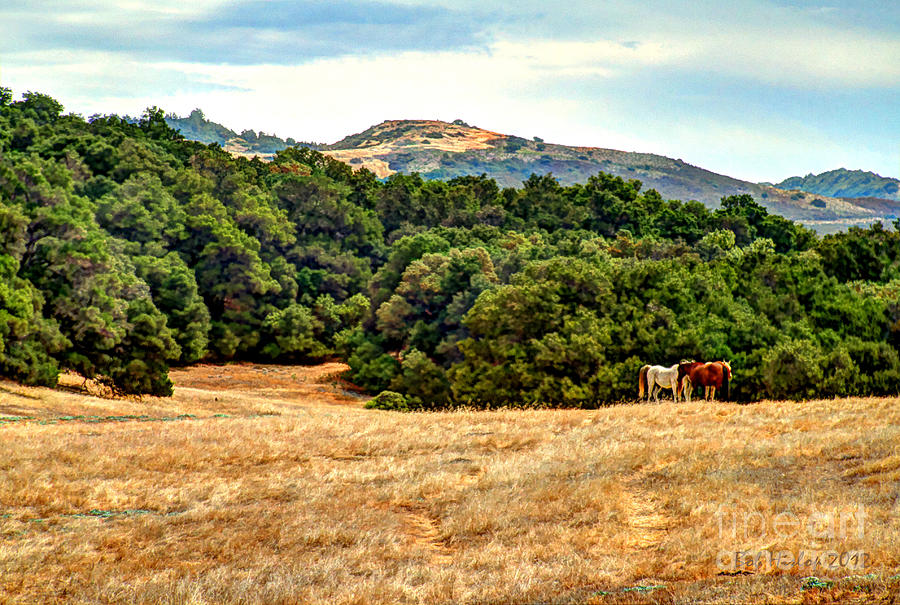 Rancho Del Cielo Photograph by Bob Hislop