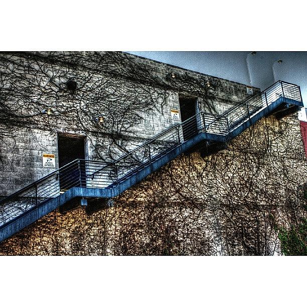 Abandoned Photograph - Random Staircase In Salt Lake City by DLDPhotography  