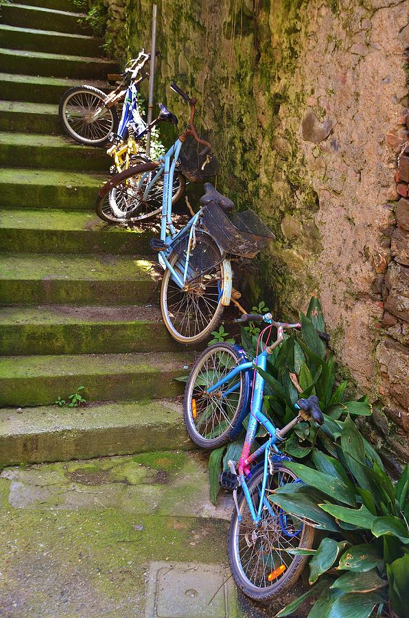 Range of Bikes Photograph by Dany Lison