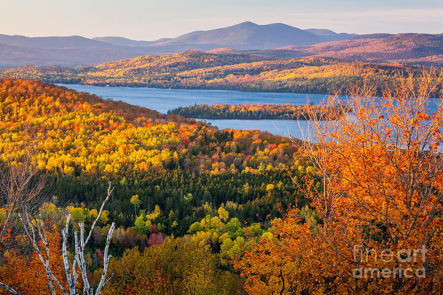 Rangeley Lake Fall Photograph by Susan Cole Kelly