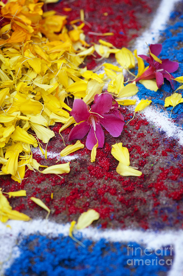 Rangoli festival art with flower petals Photograph by Tim Gainey