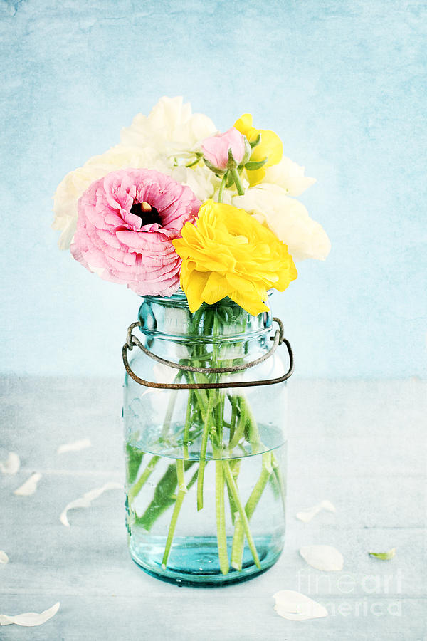 Flower Photograph - Ranunculus in a Mason Jar by Stephanie Frey