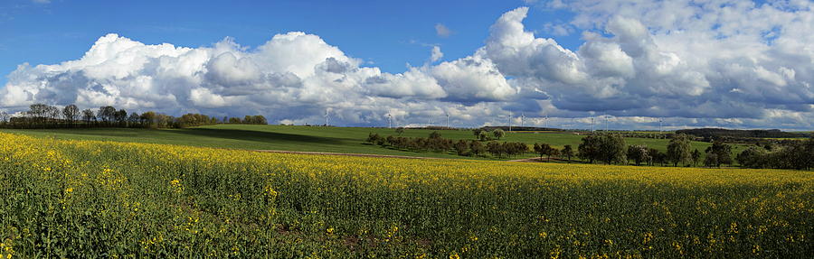 Rapefield And Clouded Sky Photograph by Hans-peter Merten