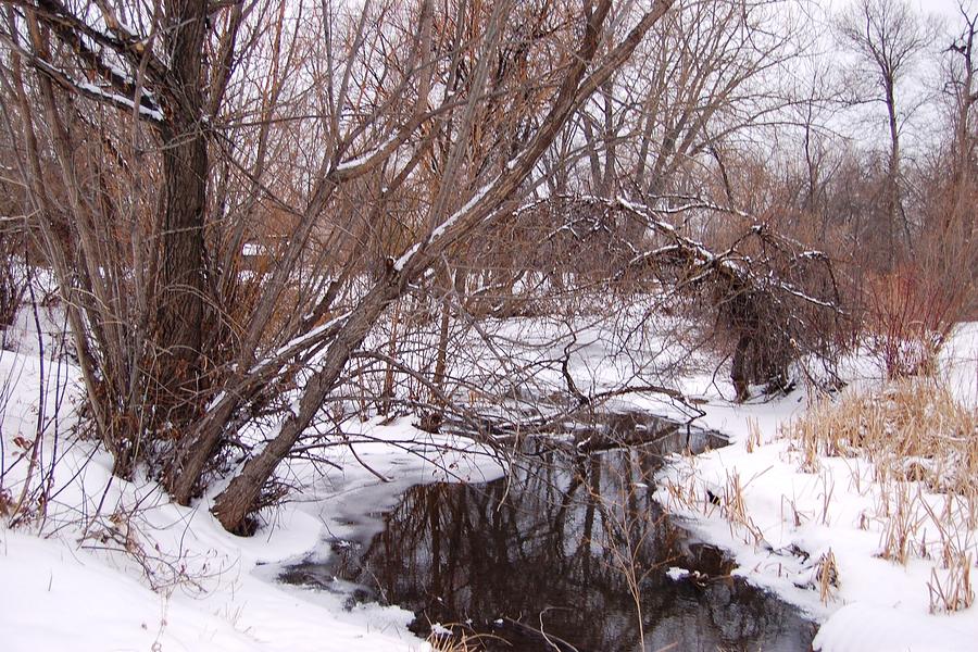 Rapid Creek in Snow Photograph by Greni Graph