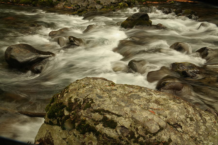 Rapids Along The American River. Photograph