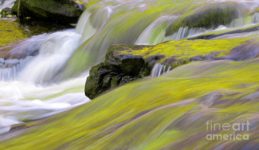 Rapids in blurred motion Photograph by Charline Xia