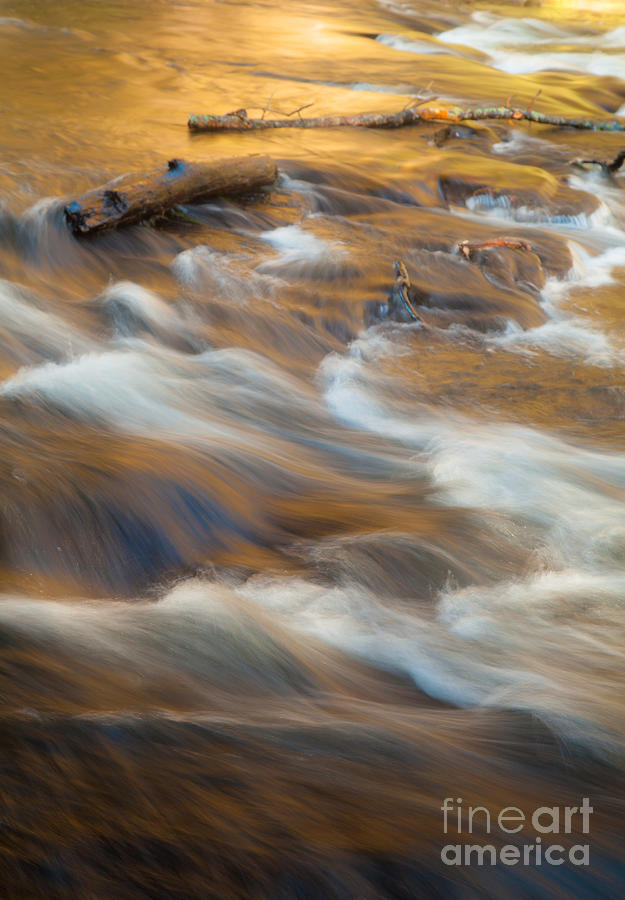 Rapids Photograph by Iris Greenwell