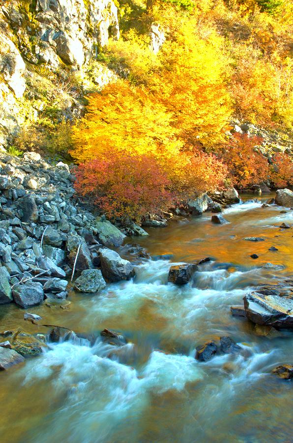 Fall Photograph - Rapids by Marv Russell