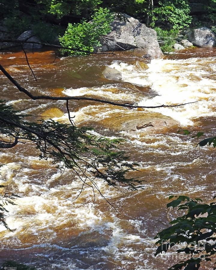 Rapids of the Swift River Kancamagus HWY View White Mountains NH Photograph by Lizi Beard-Ward