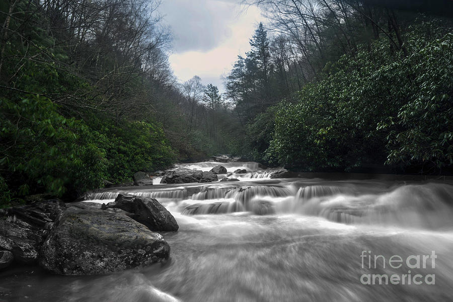 Rapids on North Fork River Photograph by Dan Friend
