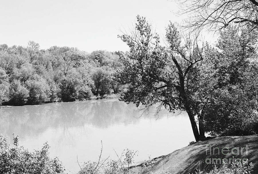 Rappahannock Riverbank I Photograph by Anita Lewis