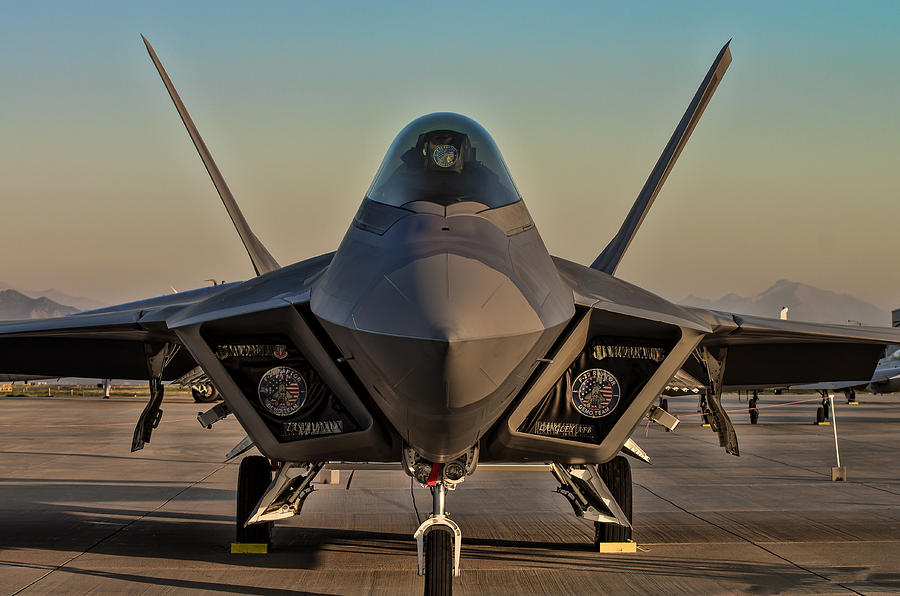 Raptor Photograph by Nathan Gingles - Fine Art America