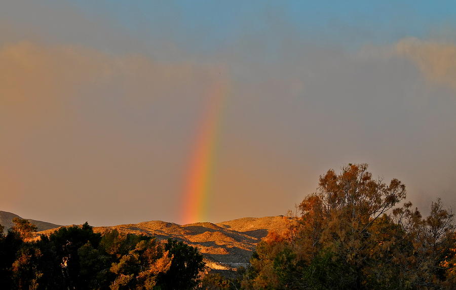 Rare Rainbow In The Desert Photograph by Kirsten Giving