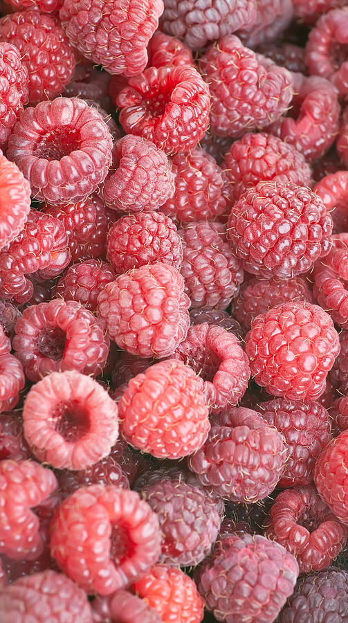 Rasberries Photograph by Marek Poplawski