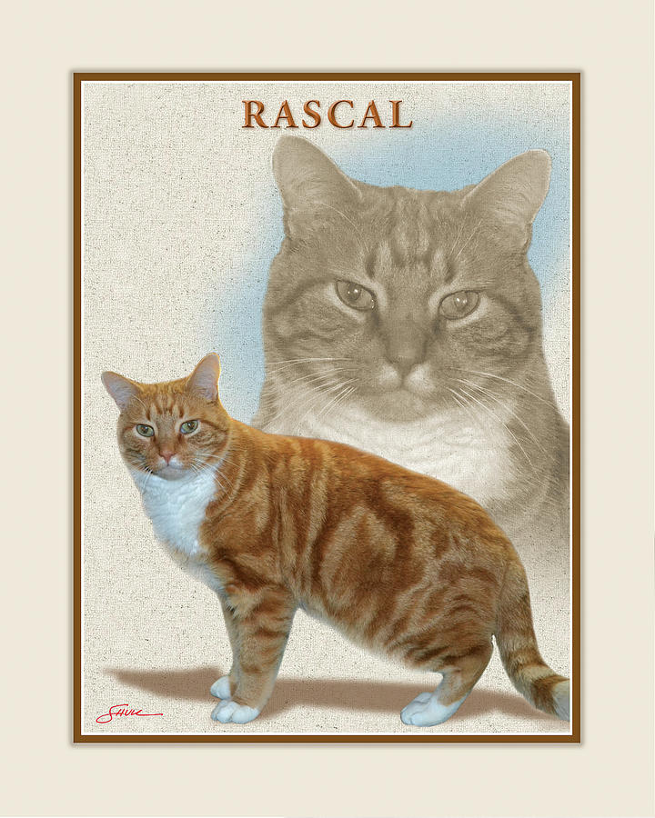Rascal Digital Art by Harold Shull