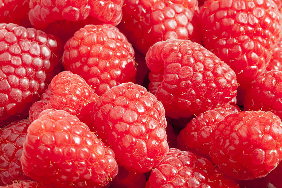 Raspberries Photograph by Alexey Stiop