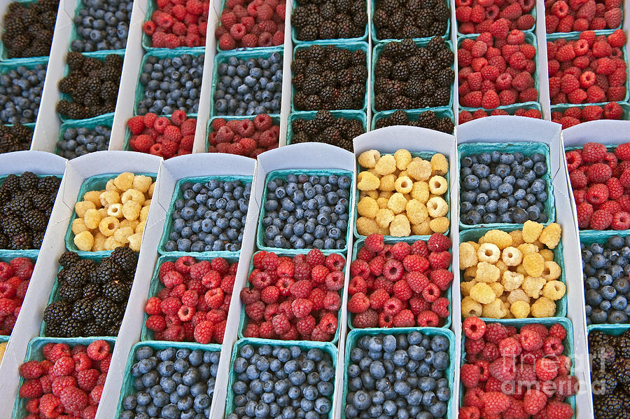 Raspberries Blueberries and Blackberries Farmers Market Produce  Photograph by David Zanzinger
